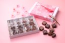 ショコラブラウニー 桜 ノワール&ラクテ16個入 ショコラブラウニー 桜 ノワール&ラクテ16個入