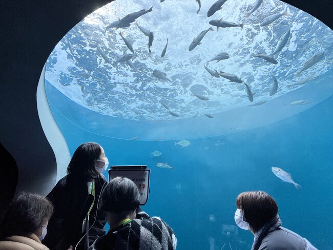 「病室からつながる水族館」遠隔ロボットを使ったオンライン見学会を今年も開催しました