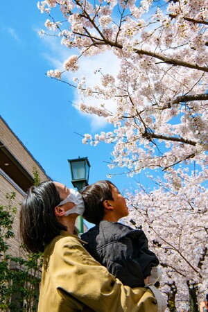 【東京・大田区】桜の名所を駆け抜けるマラニックツアーを開催！！