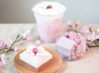 桜の開花前からさくらのテリーヌショコラが昨年の2倍の人気！今話題の中目黒の桜スイーツ専門店「ナナシノ桜菓子店」