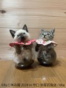 展示作品2 展示作品2