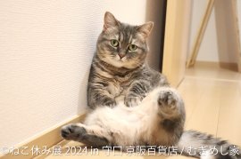 展示作品1 展示作品1