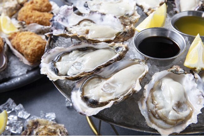 【魚イタリアン＆オイスター 梅田ワーフ】　3月18日（月）リニューアルオープン日本中の美味しい牡蠣TOP5が生産地から大阪梅田に大集合　圧倒的開放感のお洒落な店内とテラスでお楽しみください