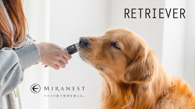 ペット用ツバメの巣「MIRANEST」が初の大型犬向けモニターを募集