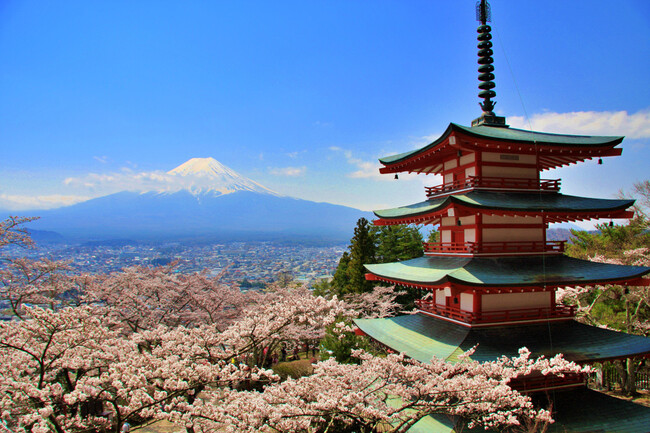 富士山麓の桜の名所を巡る観光タクシー~河口湖・忍野周辺の桜鑑賞スポットを貸切タクシーで散策！~