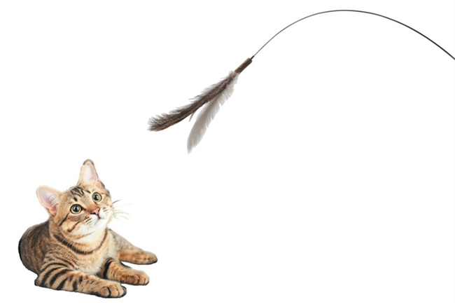 座ったままでも猫ちゃんと遊べる！全長約1.5メートルで大きな羽が付いた「超ロング猫じゃらし」がコメリのオリジナルブランド「Pet ami（ペットアミ）」より登場