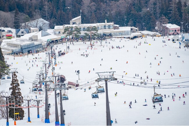 長野県白馬村、23-24冬季シーズンの観光客数が前年比123％、過去20年で最高値に。村内スキー場来場者は延べ80万人を突破