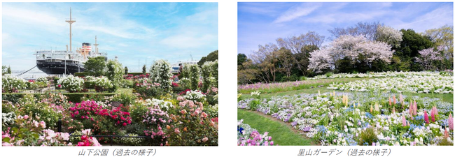 横浜の街を花と緑で彩るフラワーリレーイベント「ガーデンネックレス横浜2024」3月23日（土）から開催