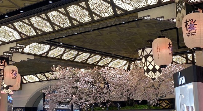 ART × 桜 × 美味 で、春を満喫！大丸心斎橋店で楽しむ、お花見特集