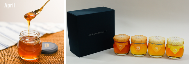 千葉大学西千葉キャンパスで採れたはちみつが千葉市食のブランド「千」に認定されました