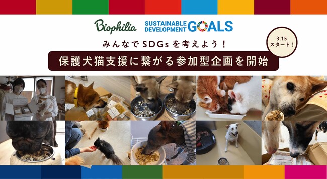 能登半島地震で被災した犬猫の支援に繋がる参加型寄付企画をスタート