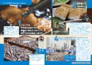じゃこ天の本 サンプル02 じゃこ天の本 サンプル02