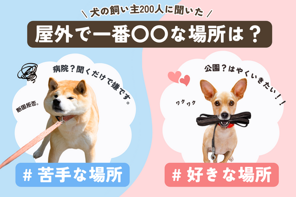 犬が屋外で苦手な場所は「○○」！屋外で一番好きな場所・苦手な場所ランキング【飼い主200人アンケート】