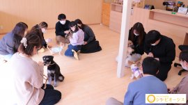 キービジュアル キービジュアル