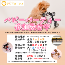 パピーパーティー パピーパーティー