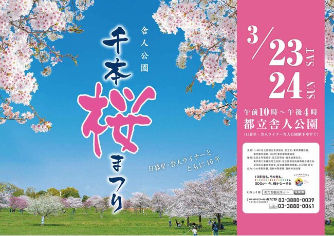 【東京都足立区】1,000本の桜の下で春を満喫！「舎人公園千本桜まつり」を開催します