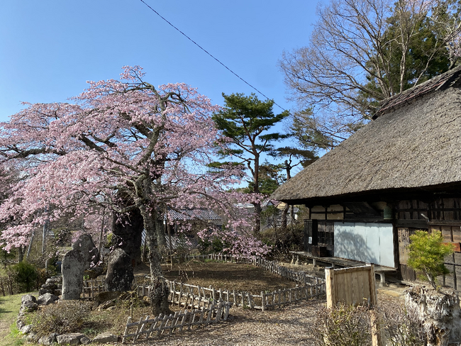 長野県富士見町『信州ふじみおひさんぽ2024-2025』ウォーキングガイドツアーの開催が決定しました！地元おもてなしガイドと歩くイベントツアー１回目は5月25日（土）開催