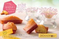 「はちみつフィナンシェ」もれなく1個もらえる♪ 春のフィナンシェキャンペーン開催！ 3月18日(月)〜4月14日(日)【パティスリーQBG / QBGレディベア】