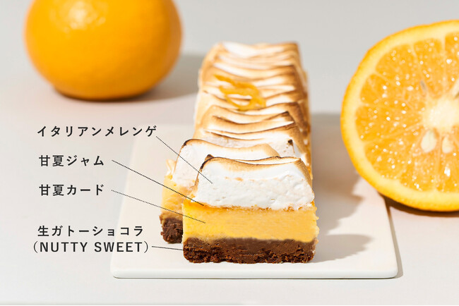 Minimalより、春を楽しむ「柑橘スイーツ」第1弾登場。旬のジューシーな甘夏をチョコレートと軽やかに味わう「甘夏みかんの生ガトーショコラ」3月26日発売