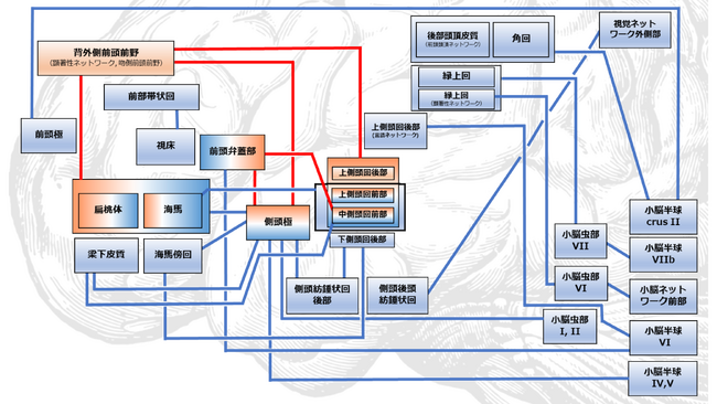 神経性やせ症（拒食症）の脳機能異常を網羅的に解明 ～世界初 多施設共同研究によるfMRIデータの大規模解析~