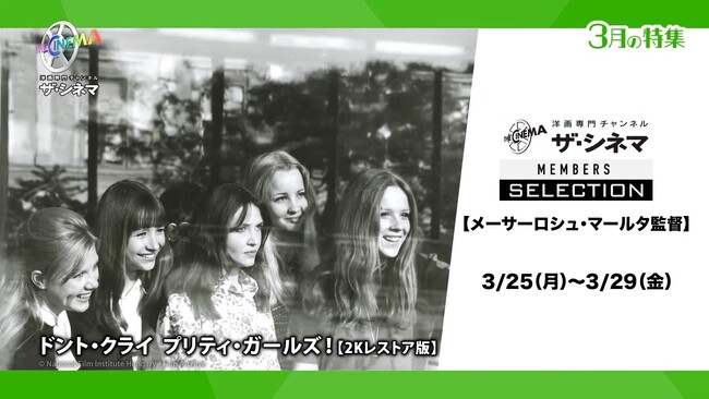 ３月テレビ初放送！“ハンガリーの至宝”メーサーロシュ・マールタ監督作ザ・シネマメンバーズセレクション 【メーサーロシュ・マールタ監督】