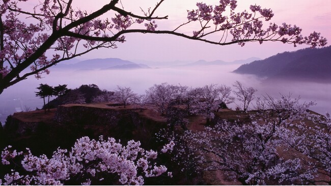 【竹田城 城下町 ホテル EN】“桜×雲海”で竹田城跡ならではのハイキングを満喫できる「春の登山セット」を販売開始