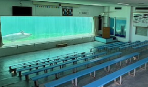 【同朋大学】3月28日(木)　同朋大学×南知多ビーチランドの産学連携協定締結式のお知らせ