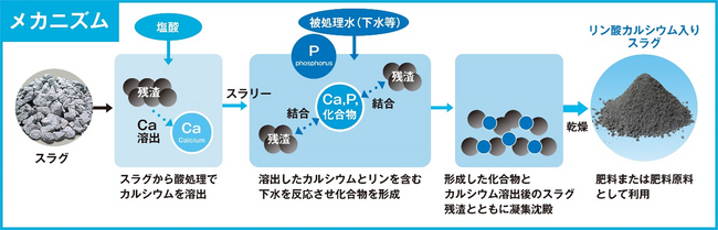 「北九州市発SDGs肥料」の実用化に前進