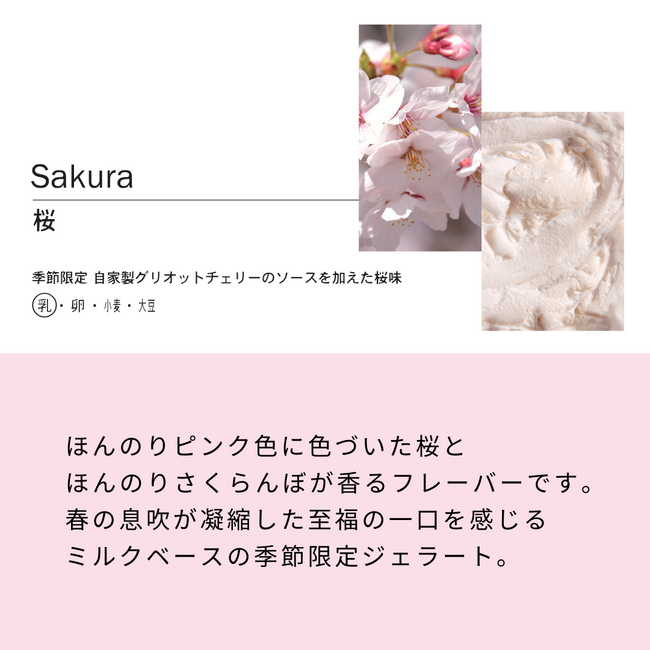 ジェラート専門店「GELATERIA solege」お花見フレーバー2024年3月20日(水)から販売