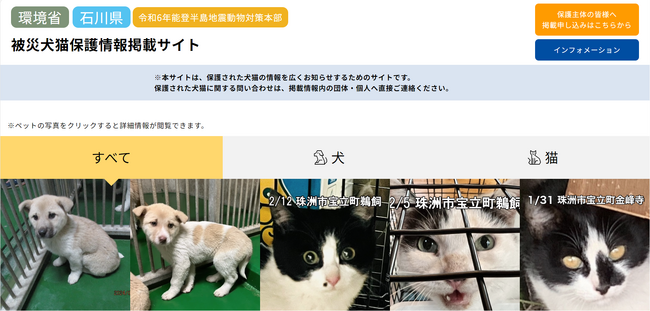 能登半島地震「被災犬猫保護情報掲載サイト」を公開　環境省と石川県から、協力要請のもと立ち上げ