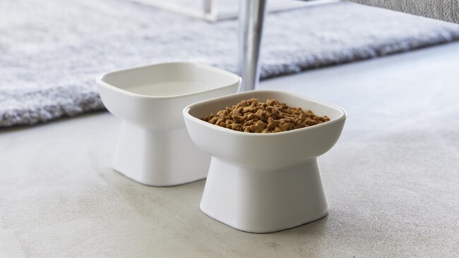 ペットの食事中の首や腰の負担を軽減する2種類のフードボウルや、消火器用のスタンドなど新商品発売。