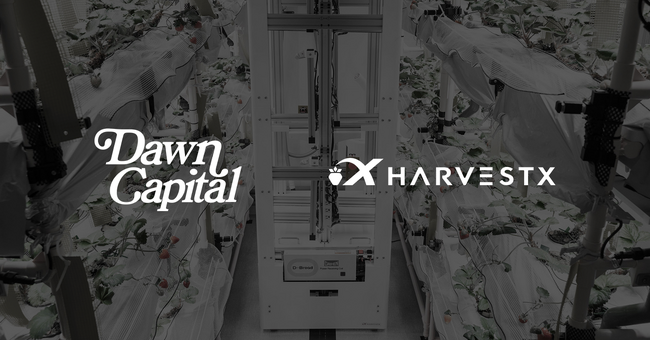 Dawn Capital、AI・ロボティクスによるイチゴの完全自動栽培に取り組む HarvestXへ出資