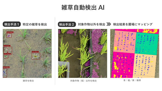 雑草自動検出AIで、雑草管理・除草剤の使用量を削減