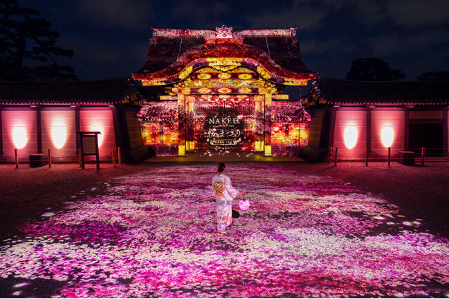 まもなく開花！『NAKED桜まつり 2024 世界遺産・二条城』好評開催中