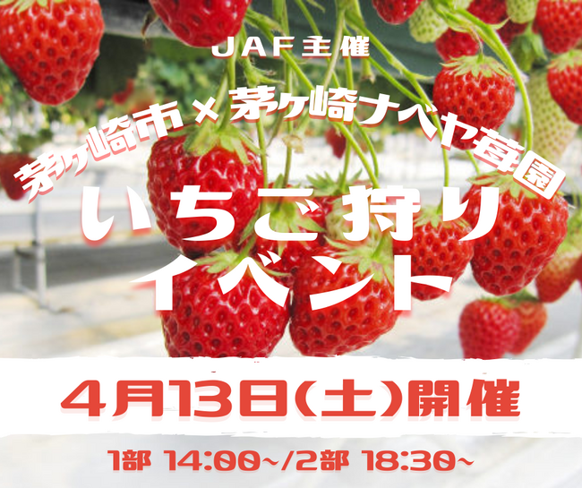 【JAF神奈川】JAF×茅ヶ崎市×茅ヶ崎ナベヤ苺園「いちご狩りイベント」を開催！