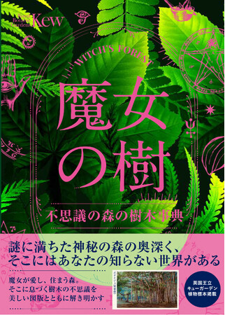 神秘の森の奥深くに息づく樹木の秘密。魔女シリーズ新作『魔女の樹 不思議の森の樹木事典』4月発売