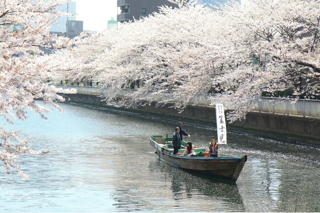 【東京ベイ潮見プリンスホテル】両岸から枝垂れる桜を満喫！船上でお花見をゆったり楽しめる至高プラン
