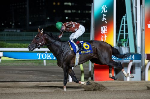 東京シティ競馬2024年度事業計画を発表。「3歳ダート三冠競走」がいよいよ幕開け！