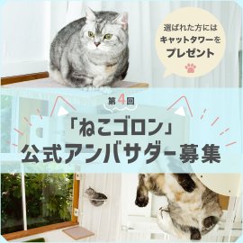 第4回公式アンバサダー募集！