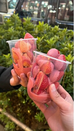海外で常に行列、あの【いちごにチョコかけたやつ】の専門店が3月31日　原宿にグランドオープン致します。