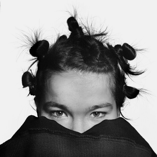 スウェーデンはストックホルムを拠点に活動する写真家、Jann Lipkaによる1993年のBjorkを捉えた、歴史的ポートレートがTシャツとしてリリース