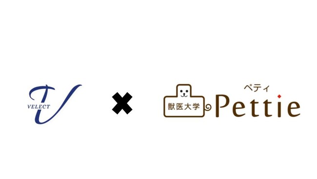 株式会社Insityが運営する獣医師を志す方向けの情報サイト「Pettie獣医大学」が獣医学部受験専門のオンライン個別指導予備校「べレクト」と業務提携を開始しました。