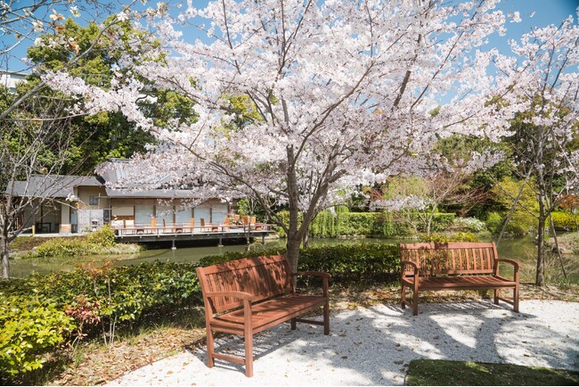 【フォーシーズンズホテル京都】桜の期間限定の宿泊プラン「HANAMIスイート」