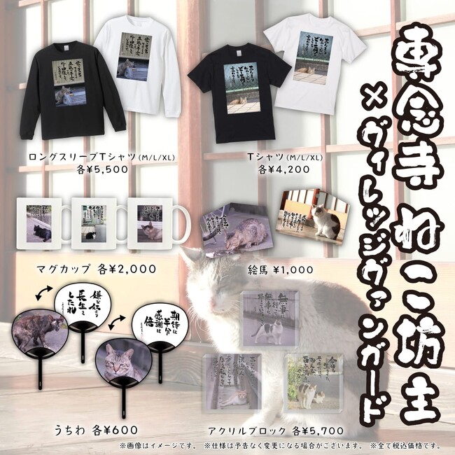 【専念寺/ネコ坊主×ヴィレッジヴァンガード】～コラボグッズ発売決定！！～