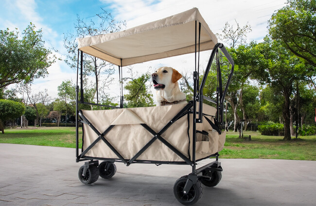 大型犬も余裕!?超大容量の“ペットカートワゴン”発売 多頭飼いの方もこれ1台でみんな一緒にお出かけ!