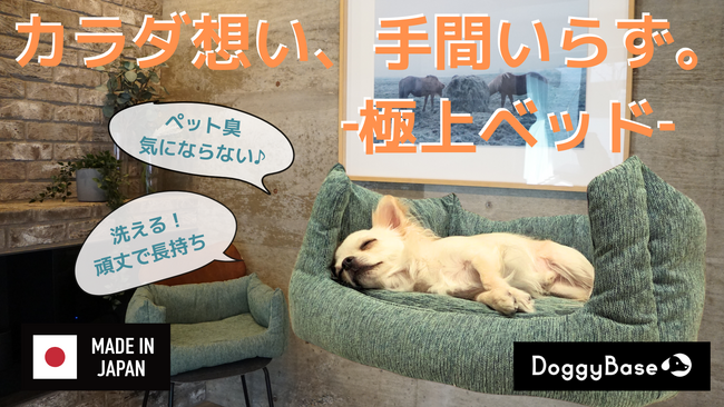 洗える抗菌防臭ペットベッド「DoggyBase」2024年3月25日よりMakuakeにて先行受付開始