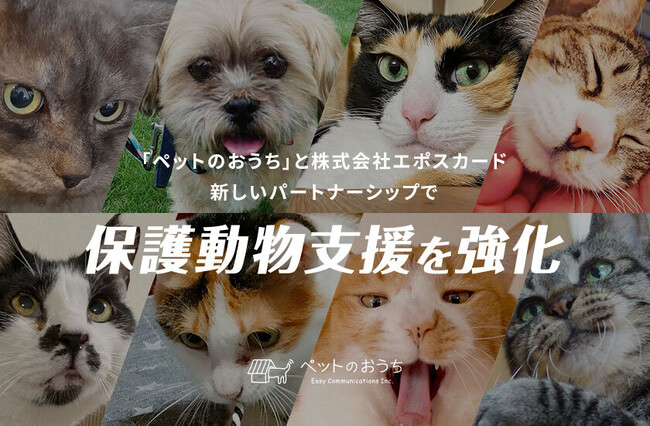 「ペットのおうち」と株式会社エポスカード、新しいパートナーシップで保護動物支援を強化