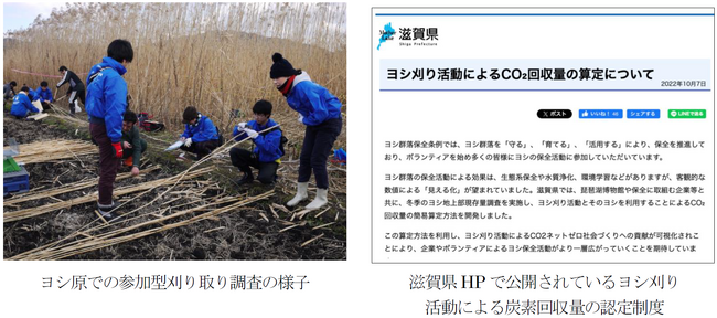 ヨシ刈り活動による炭素回収量についての研究論文が「四手井綱英記念賞」を受賞しました！