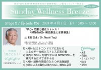 《医師・歯科医師・薬剤師向け》無料オンラインセミナー4/7(日)朝10時開催 『NAD+代謝と酸化ストレス:NMN/NAD+補充療法と水素療法』 講師:辻 直樹先生(医療法人社団医献会 辻クリニック/理事長)