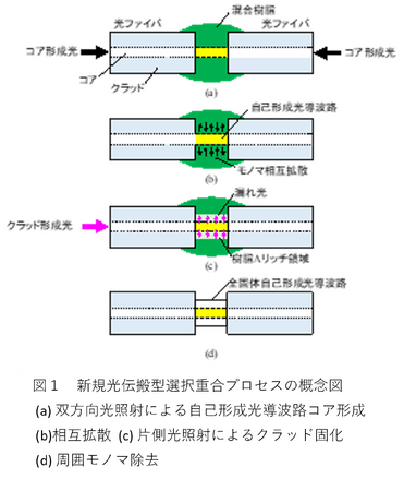 新規クラッド固化プロセスによる低損失全固体自己形成光導波路の作製に成功